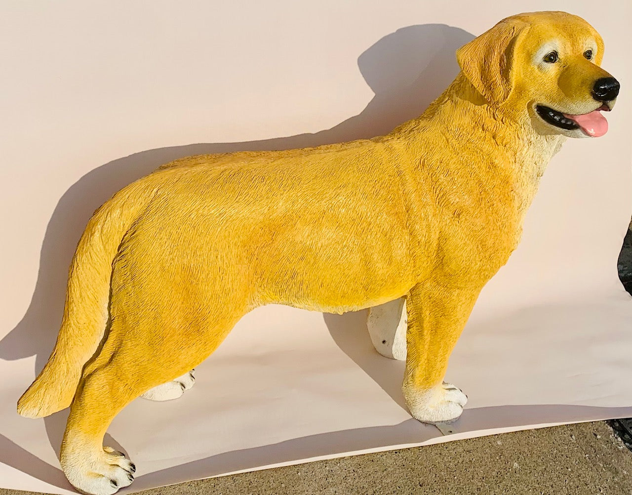 Dog Labrador Yellow life size Statue, 44